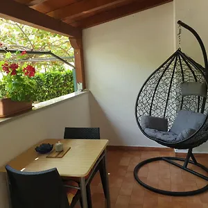 Kiwi Rovinj